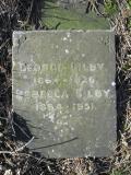 image of grave number 376390